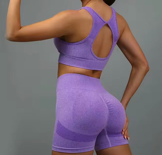 Conjunto de Yoga sin Costuras para Mujer | Ropa Deportiva de Gimnasio con Top y Pantalones Cortos